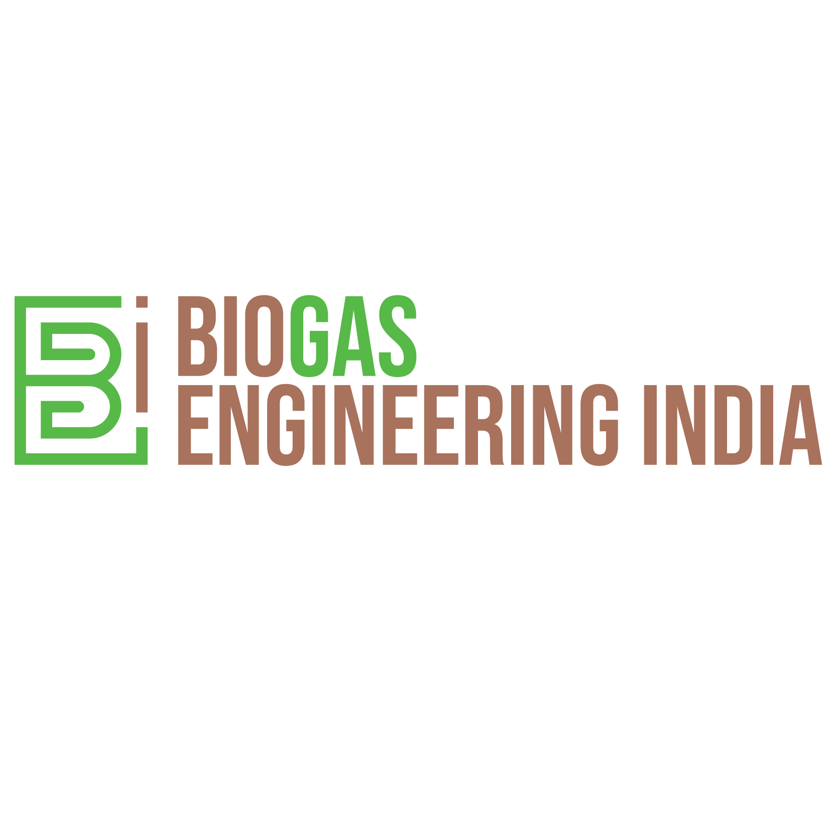 Biogas Enginering